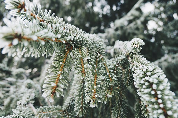 Le giuste attività per scoprire l’inverno nostrano